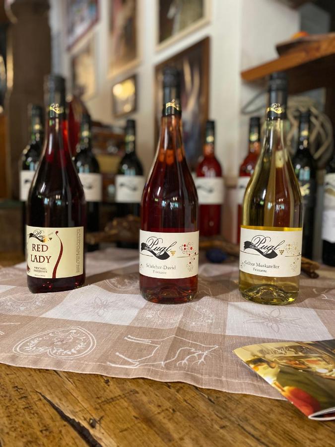 Апартаменты Weingut Pugl Лейбниц Экстерьер фото