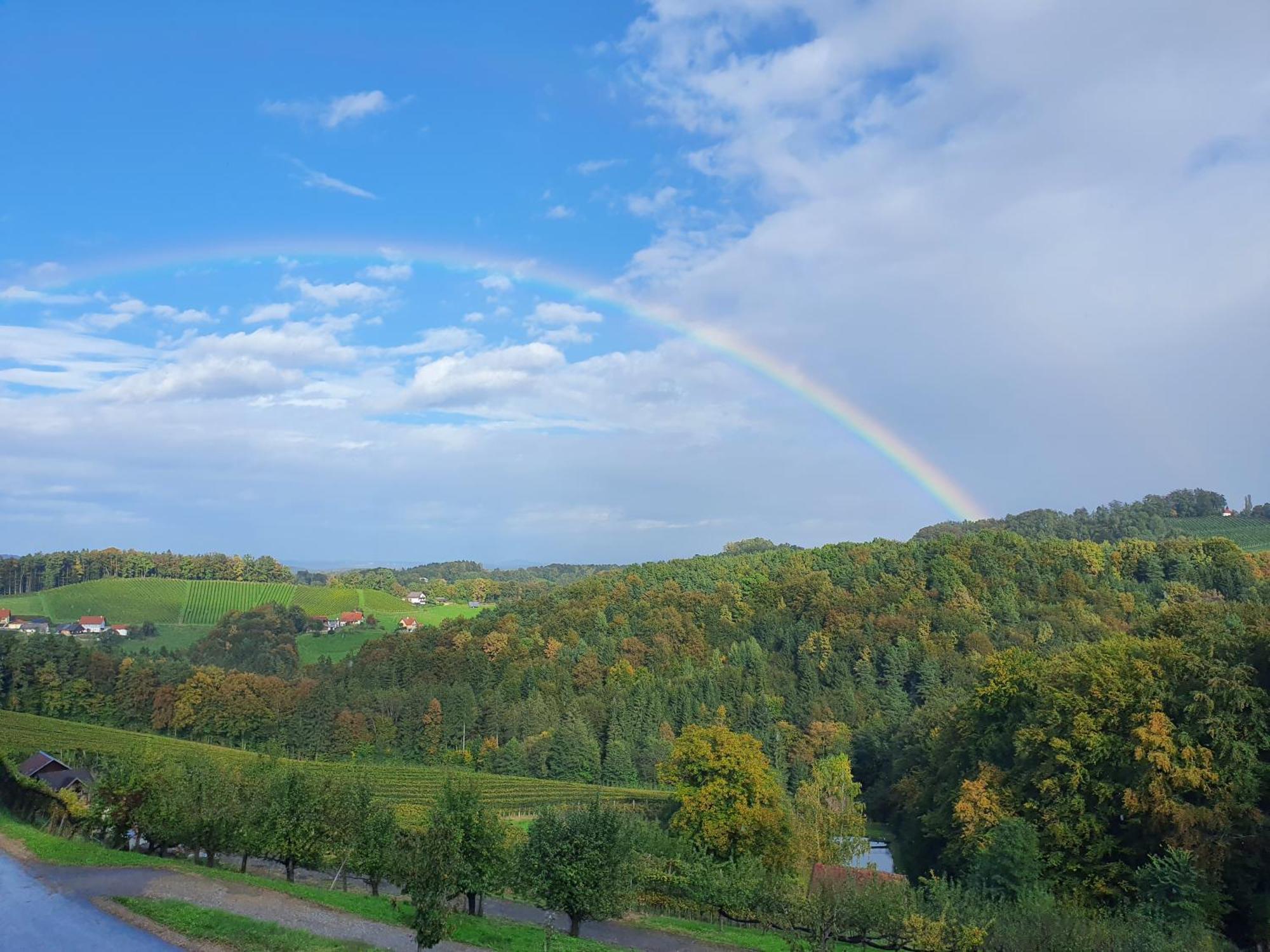 Апартаменты Weingut Pugl Лейбниц Экстерьер фото