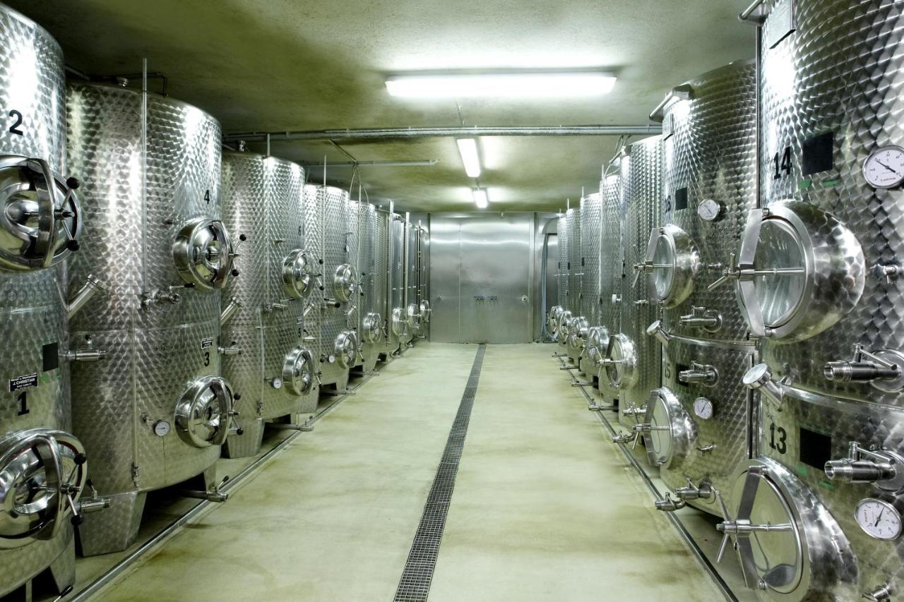 Апартаменты Weingut Pugl Лейбниц Экстерьер фото