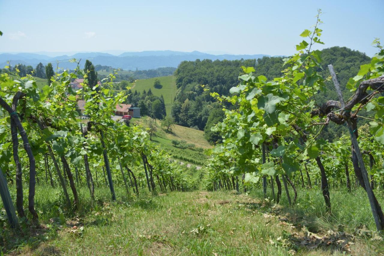 Апартаменты Weingut Pugl Лейбниц Экстерьер фото